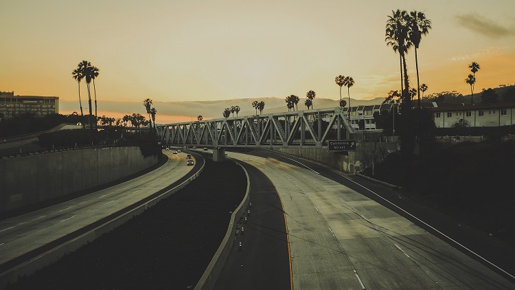 picture of freeway and palm trees