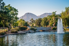 Check Out Palm Springs